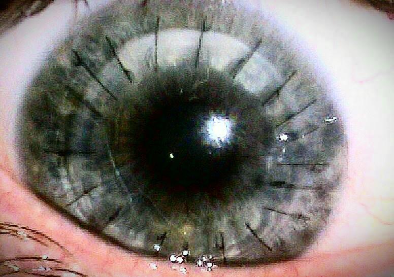 574680_428461033895064_1292681601_n