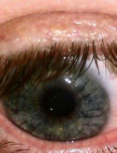 75057_413806808693820_1855273493_n